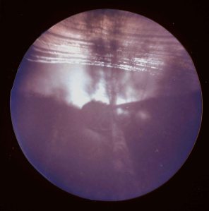 along the River Road in Solon. 4 month pinhole exposure