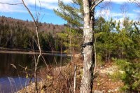 kennebec river photo project maine