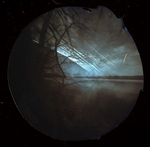 moore_johanna_dresden