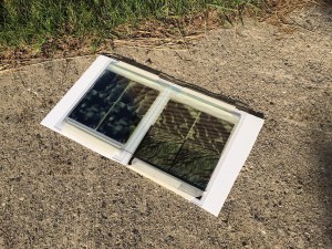 cyanotypes, artist, maine